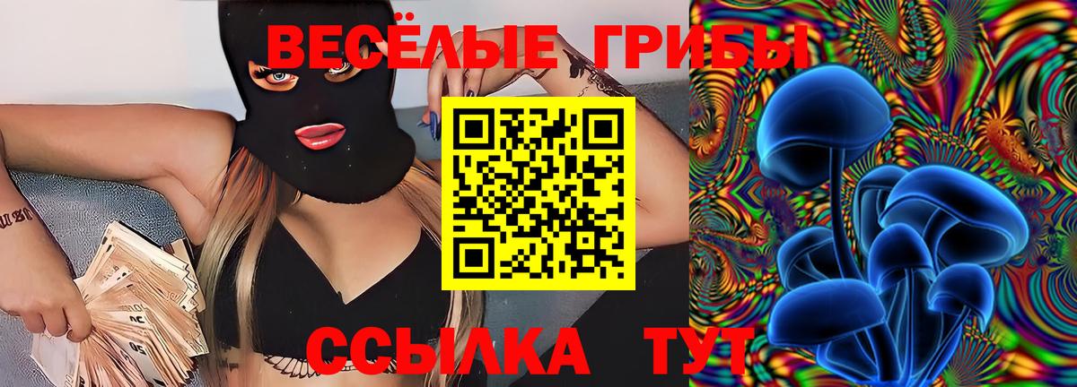 Псилоцибиновые грибы Psilocybe Казань